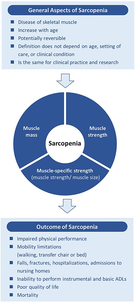 Figure of general aspects and outcome of sarcopenia